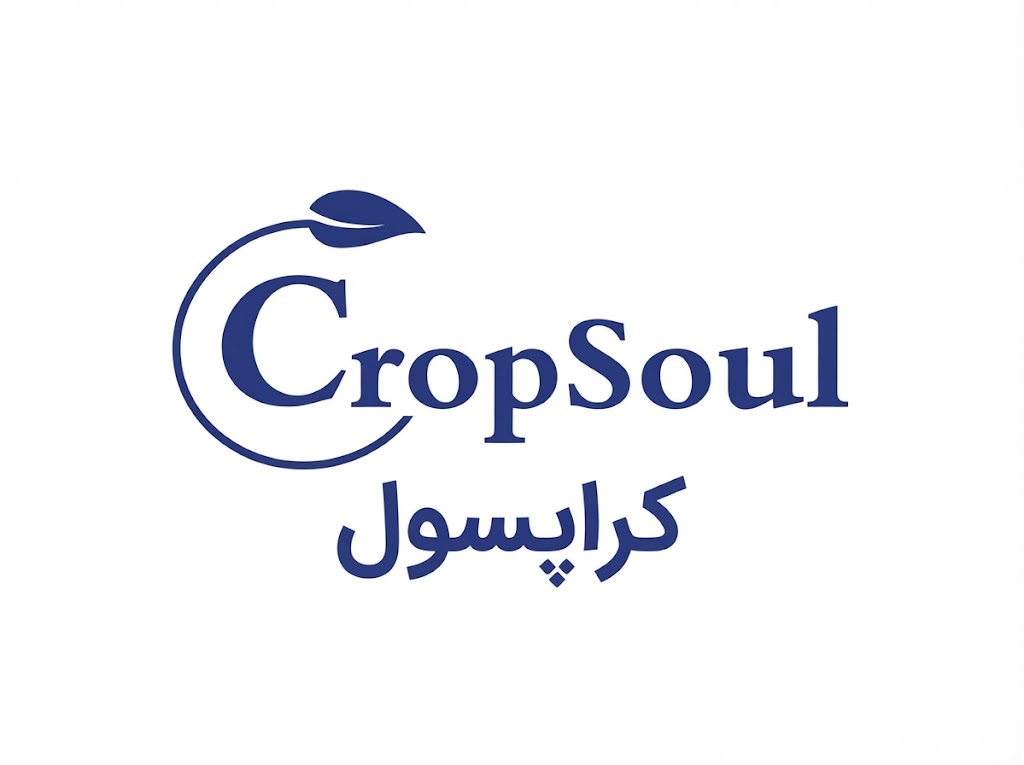 کراپسول