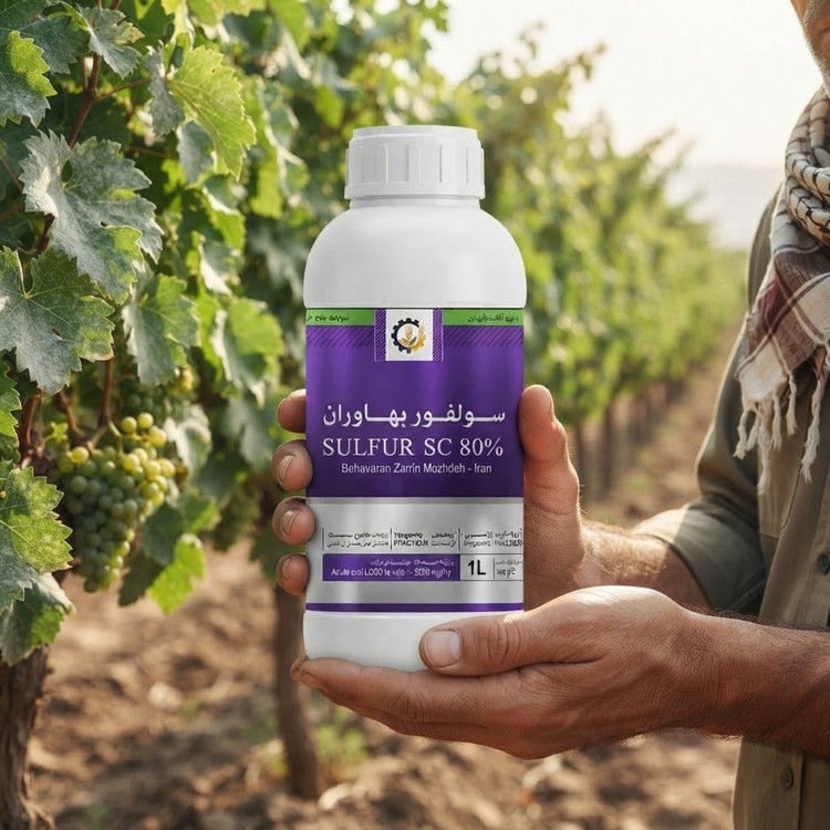 قارچکش و کنه کش سولفور مایع SC 80% بهاوران